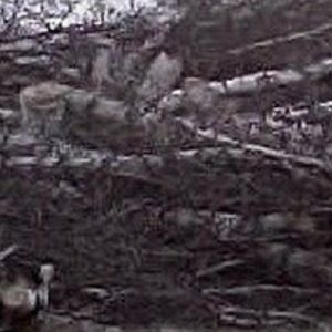 Meet your Posher, Jay